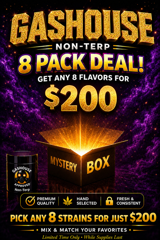 GASHOUSE- 8 PACK MYSTERY DEAL